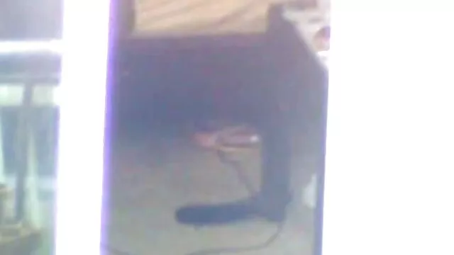 Primer plano pov gran polla follando video porno zoofilia estrecho coño