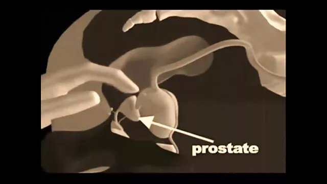 Puedes mirar mientras uno de mis videos pprno novios me folla