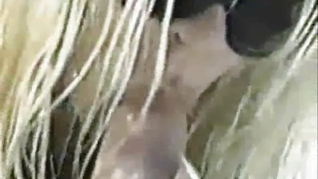 Sexparty babe pussyfucked baile porno en trío interracial